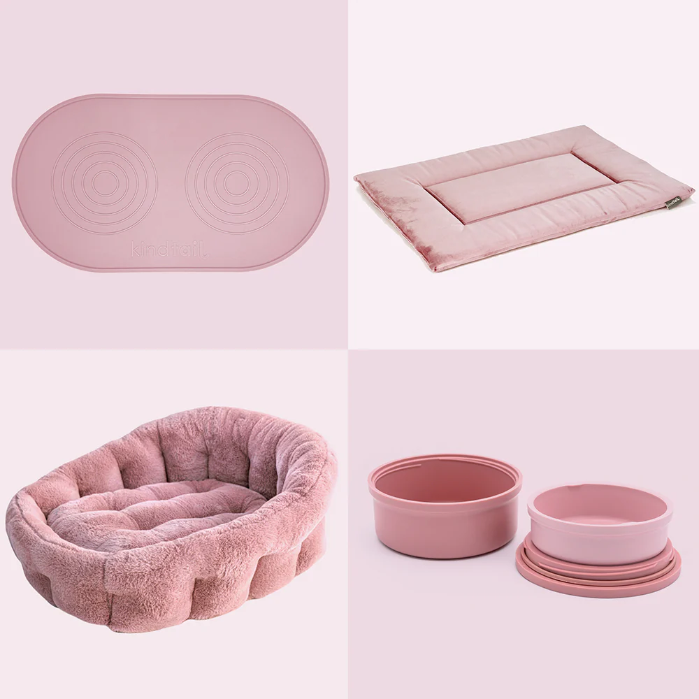 Accessory Bundle - Image 4