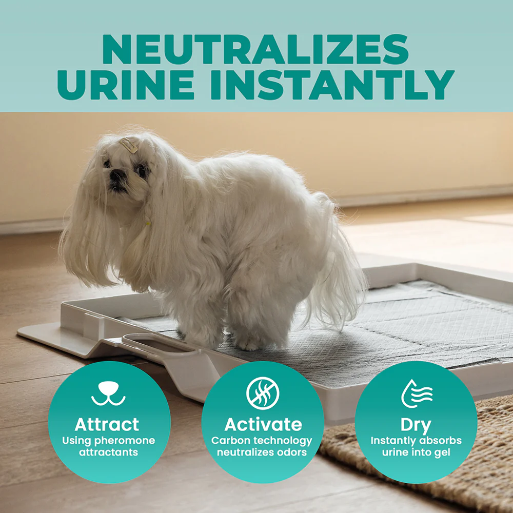 Odor-Filtering Charcoal Pee Pads - Image 4