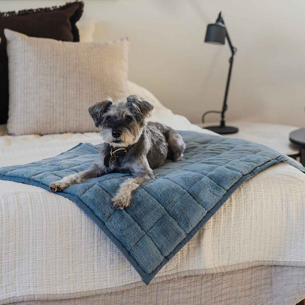NomadNap Travel & Portable Dog Bed - Image 5