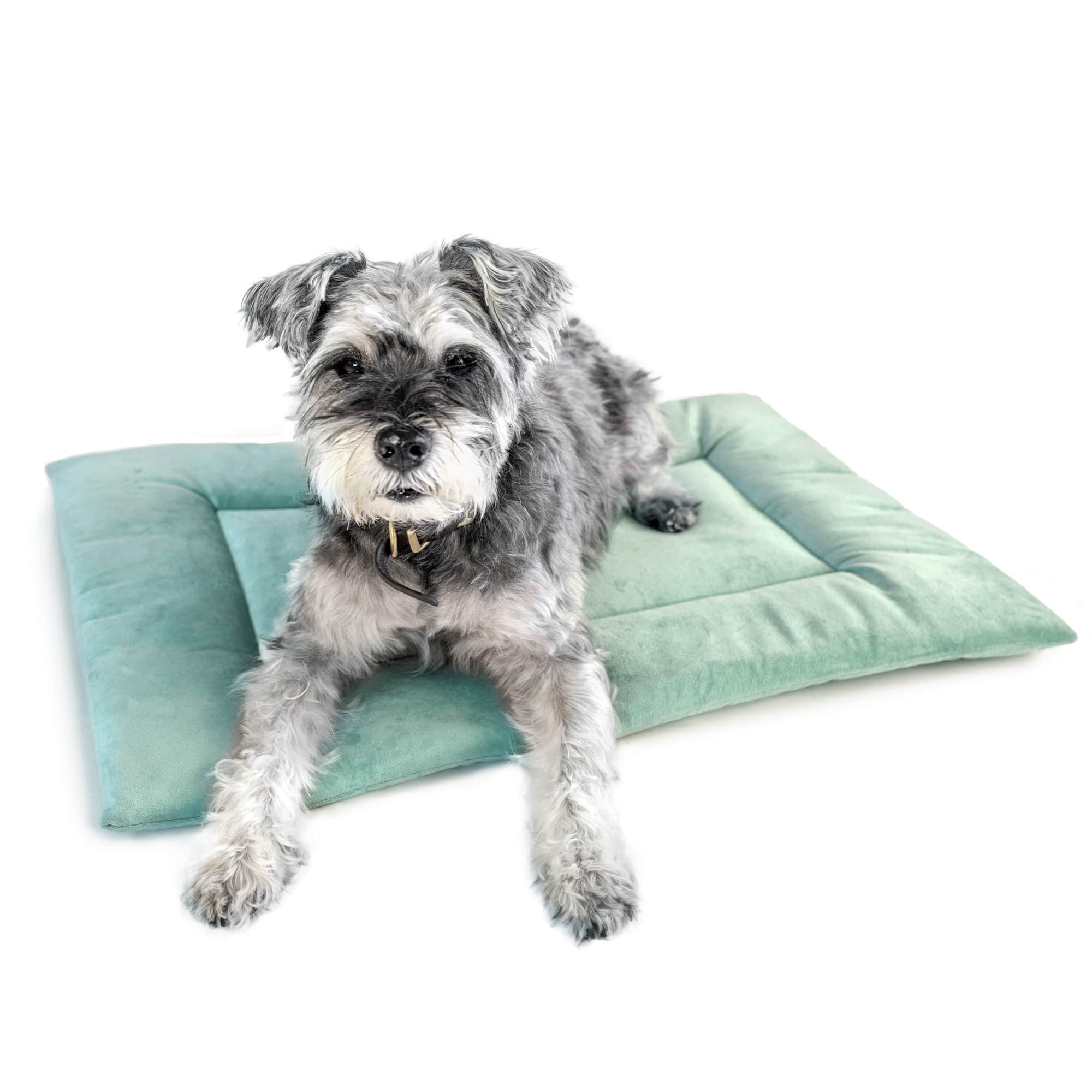 PAWD Crate Pad & Dog bed - Image 5