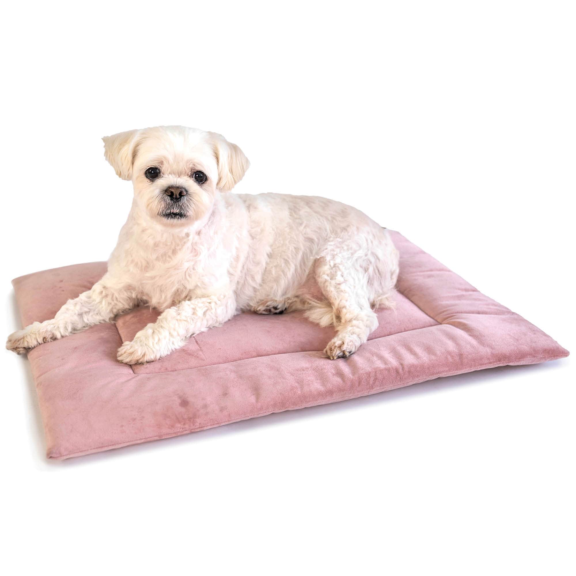 PAWD Crate Pad & Dog bed - Image 8