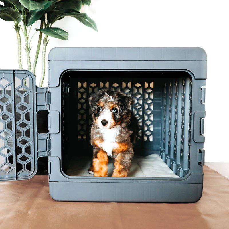 PAWD®  Modern Collapsible Dog Crate - Image 11
