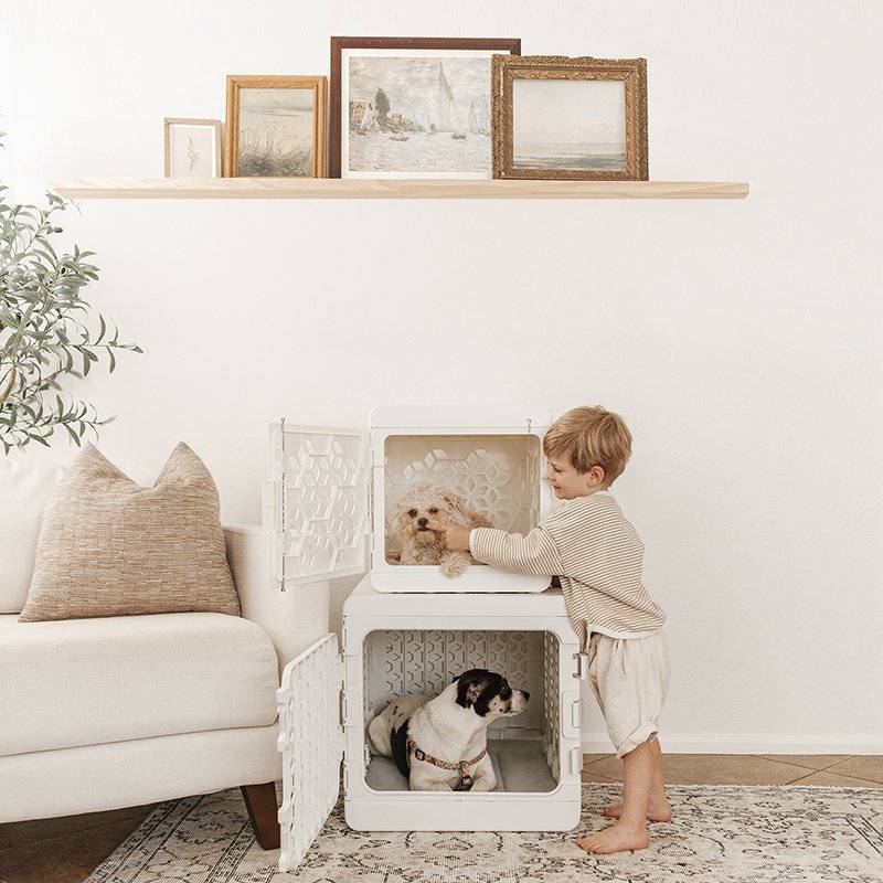 Puppy Bundle PAWD® Dog Crate - Image 24