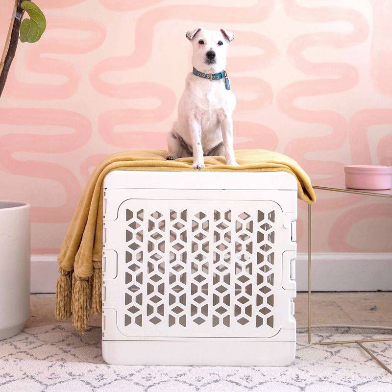 Puppy Bundle PAWD® Dog Crate - Image 25