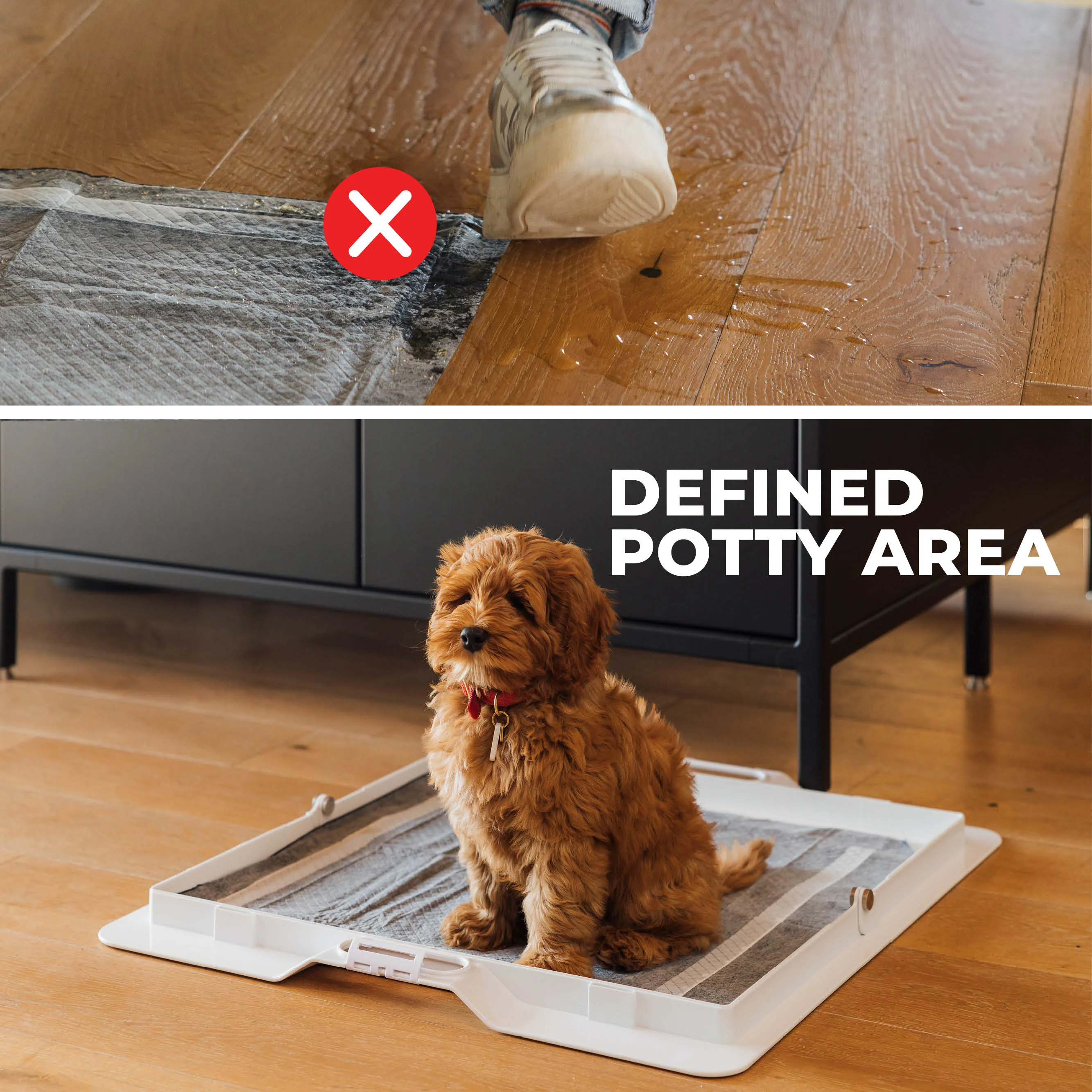 Pee PAWD® Pee Pad holder - Image 8