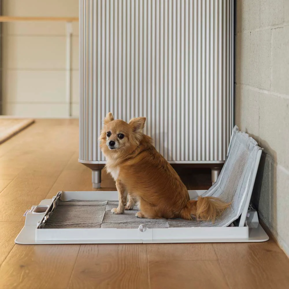 Pee PAWD® Pee Pad holder - Image 11