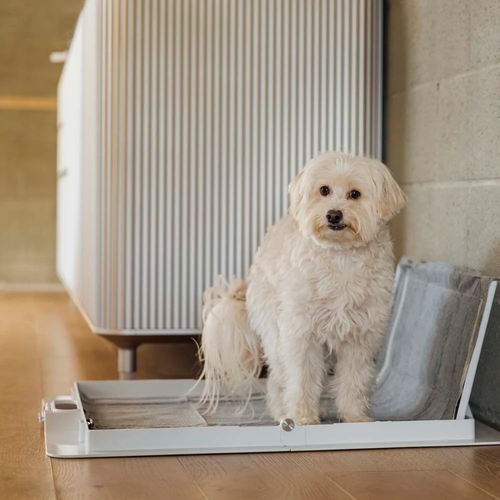 Pee PAWD® Pee Pad holder - Image 14