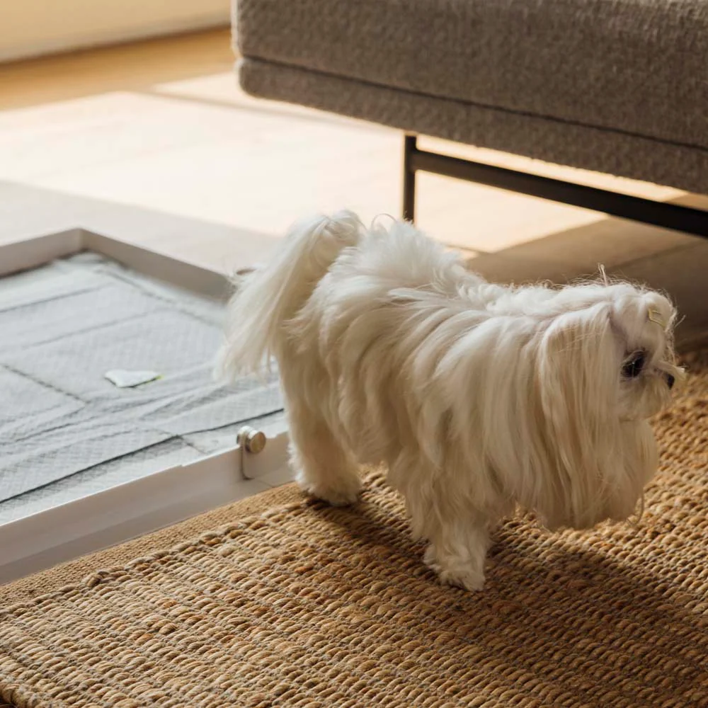 Pee PAWD® Pee Pad holder - Image 15